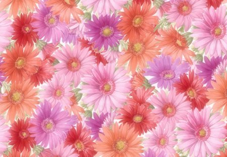 flowers - abstract, flowers, collage, cool