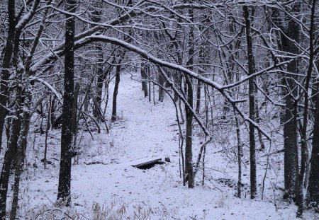 Trail to nowhere - winter, trail, snow, hiking