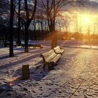 Winter Sunset in the Park