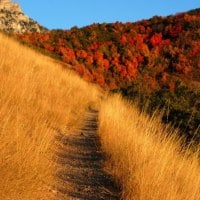 Autumn Mountain