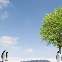 Penguins and Green Tree