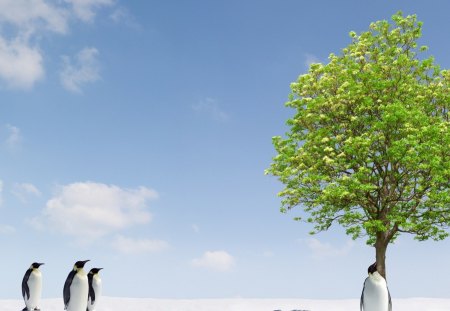 Penguins and Green Tree - tree, penguins, fields, green