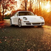 Porsche 911 Autumn