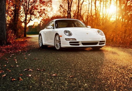 Porsche 911 Autumn - road, porsche, 911, autumn