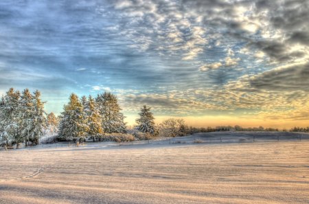 A Taste Of Winter - snow, landscape, winter, taste