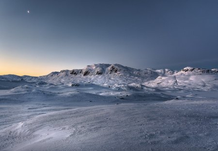 Taste of Winter - winter, taste, landscape, snow