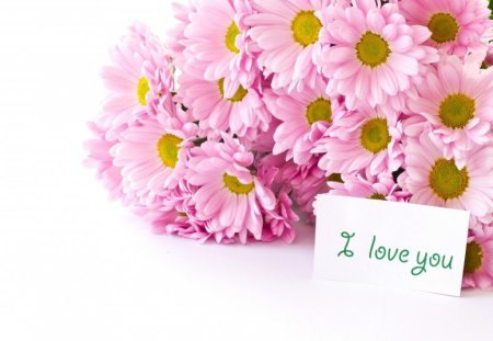 I love you - flowers, blooms, nature, lovely, petals, pink, notes