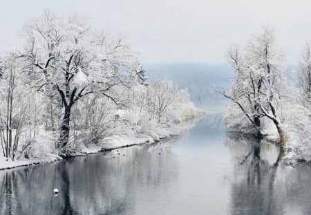 Winter - snow, river, winter, tree