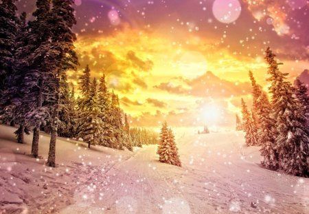 winter dreams - pretty, fantastic, amazing, landscape, snow, great, forest, stunning, nice, outstanding, super, sky, woods, sun, clouds, abstract, trees, winter, beautiful, sunshine, wonderful, ice, sunset, marvellous, picture, awesome, skyphoenixx1, adorable, wallpaper