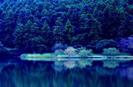 BLUE LAKE - lake, trees, forest, reflection, blue, winter, refletion