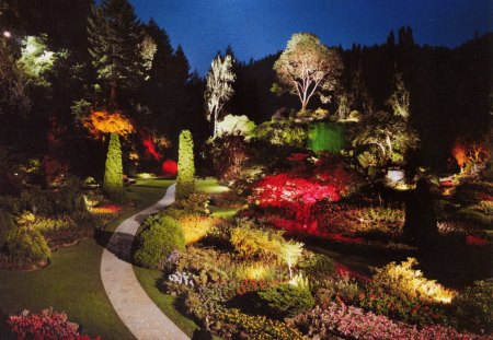 garden at night - sunken, magic, night, garden, fantasy, lights