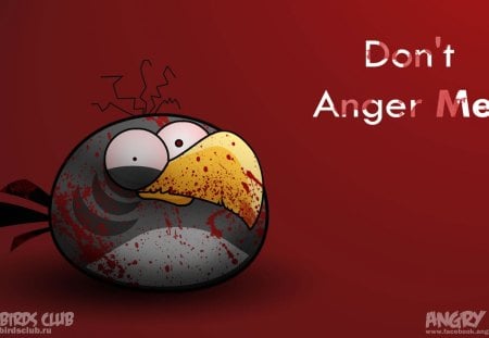 ANGER  ANGER BIRD - bird, red, anger, wallpaper