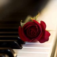 Rose on Piano