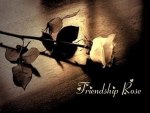 Friendship Rose