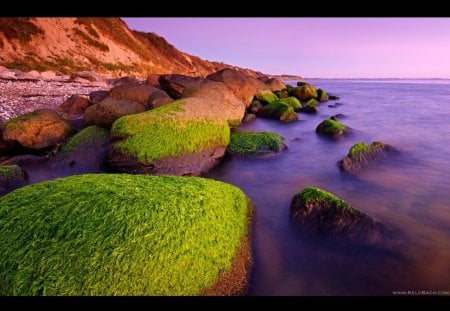 Mossy Rocks at the Beach - beach, rock, nature, mossy