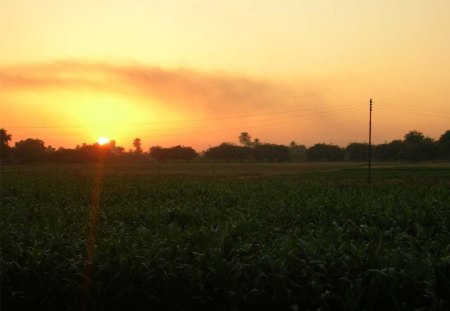 nature - nature, farm, sunsets, sun, sky