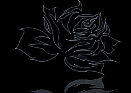 black rose - bg, abstract, dark, wp, rose, black, logo