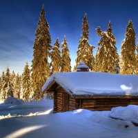 Winter house