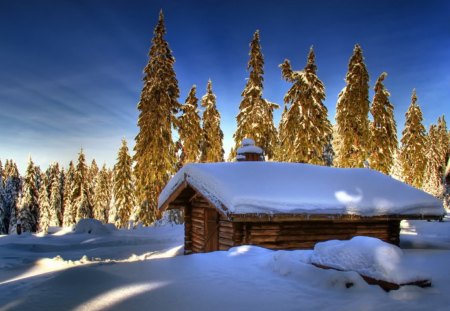 Winter house - pretty, magic, snowflakes, snow, light, countryside, holiday, kindness, frost, yard, nice, house, fence, village, frozen, ice, care, new year, deer, warmth, cabin, forest, alleys, home, meet, sky, cottage, mood, trees, winter, beautiful, snowy, roe, girl, lovely, tree, christmas, painting, cold, little, park