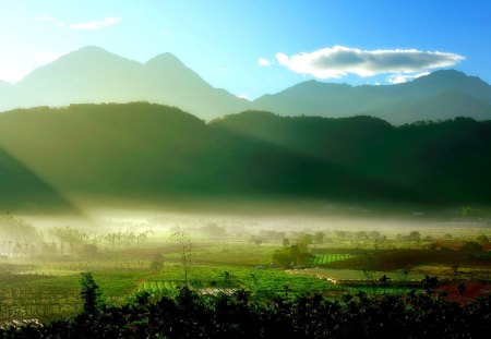 MOUNTAIN FOG - fields, plantation, hills, landing, sun, green, mountains