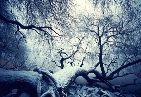 Frozen breath - frozen, winter, nature, breath