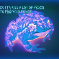 Finding that frog