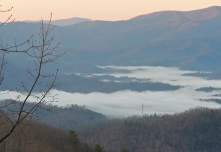 Mountain Fog - fall, summer, colds, view, color, mountains, leaves