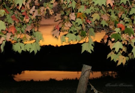 Autumn sunset - scenery, little pond, sunset, autumn leaves