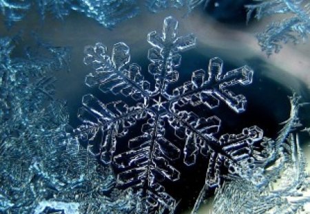 Snowflake - winter, snowflake, snow, snowfall, snow storm