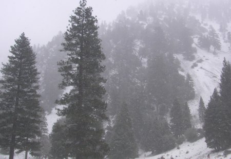 Snow in S. California (Mt Baldy) - california, mountain, mt baldy, snow