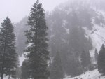 Snow in S. California (Mt Baldy)