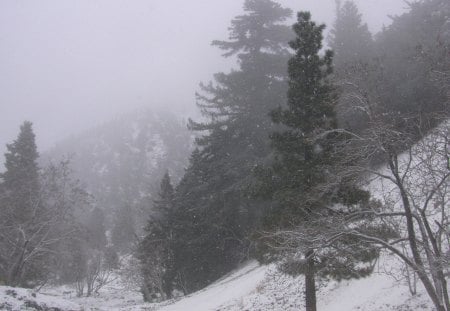 Mt Baldy, California