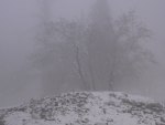 Snow & Fog (Mt Baldy)