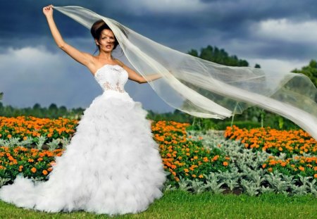 The bride with a veil - veil, field, flower, bride