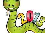 *** I wish you fantastic New Year 2013 ***