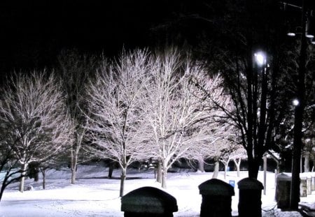 Winter Touches the Park - nature, trees, snow, winter, park