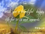 Happy New Year My DN Friends