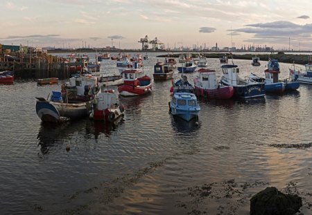 fishing boats in the bay - fishing, oceans, bay, boats