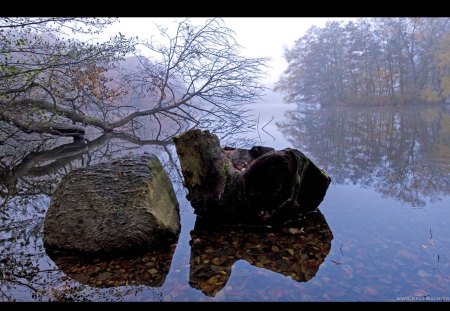 Misty Moisty Morning - misty, nature, mist, morning, rocks