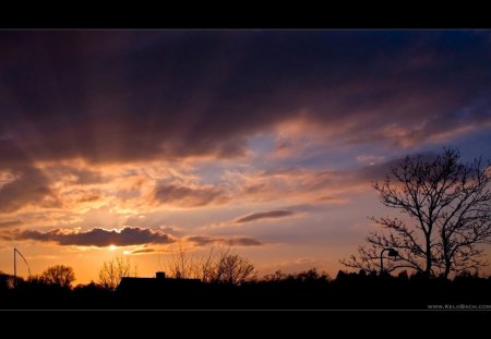 Sunrays - silhouette, nature, sun, rays