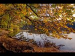 Autumn Pano