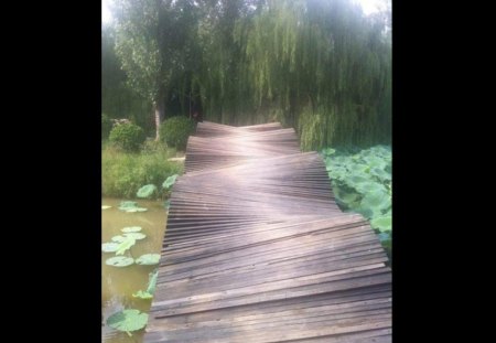 wonky bridge - wooden, wonky, bridge, ripples