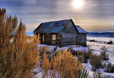 Shutters and boards - nice, cottage, sky, sun, shutters, field, clouds, house, rays, wooden, winter, lovely, boards, bushes, cbin, lonely, beautiful