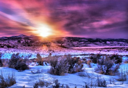 Winter sunset - nice, sky, sunshine, sundown, sun, sunset, field, amazing, pretty, cold, icy, frozen, ice, rays, sunlight, winter, lovely, bushes, nature, snow, beautiful, frost, sunrise