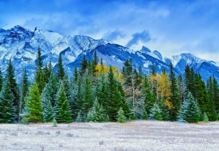 Early winter - blue, landscape, snow, mountain, calmness, cliffs, frost, field, early, covered, trees, winter, slope, peaks, ice, frozen, nature, cold, serenity