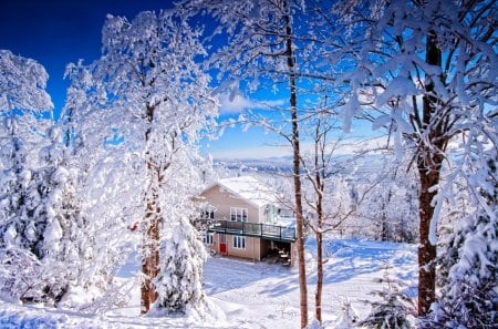 Lovely winter day in the mountain - cottage, nice, sky, slope, trees, sun, white, pretty, cold, house, frozen, winter sun, ice, rays, mountain, day, winter, lovely, nature, covered, blue, beautiful, frost, rest, cabin