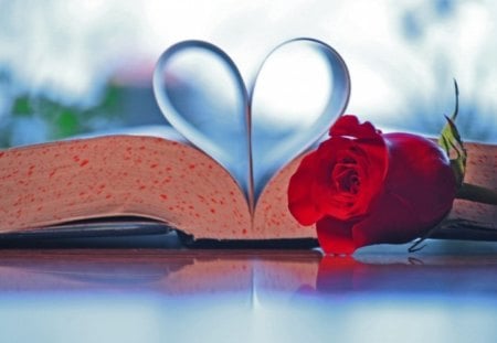 Book Of Love - heart, red rose, object, book, cute, love