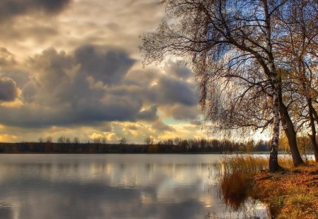 morning in autumn on a river - clouds, river, shore, morning, tree