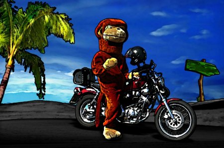 Monkey on Yamaha Virago 535 - bike, virago, graphics, 535, monkey, motorcycle, yamaha