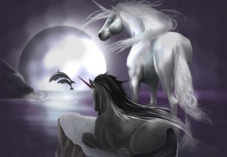 World of Dreams - relaxation, dolphins, world, sea, dreaming, night, unicorn, dreams